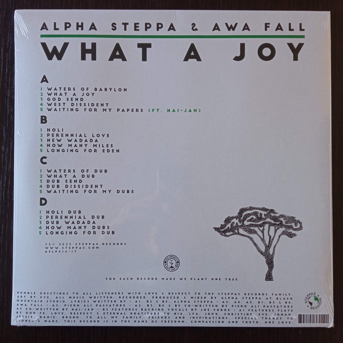 Alpha Steppa + Awa Fall – What A Joy b