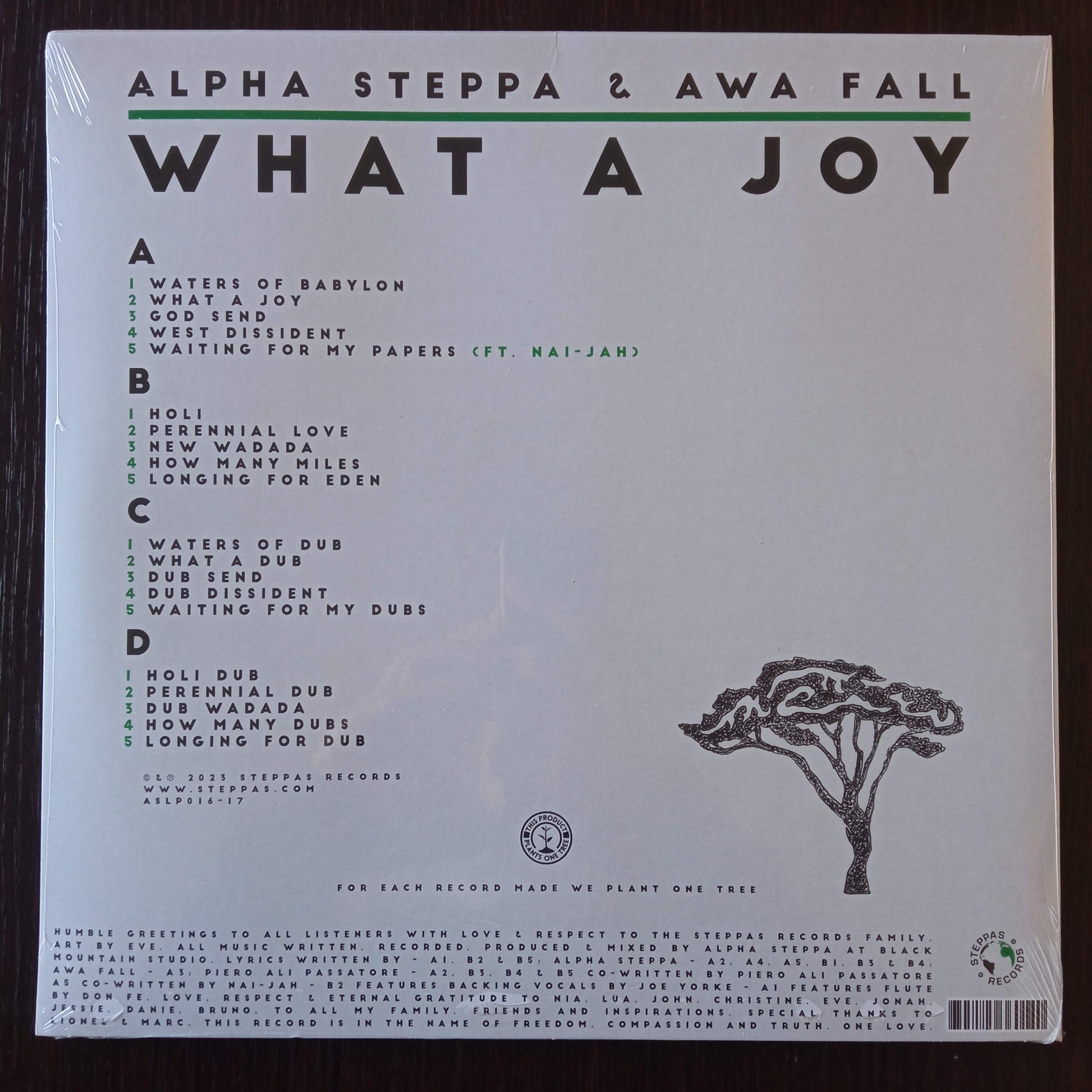 Alpha Steppa + Awa Fall – What A Joy b