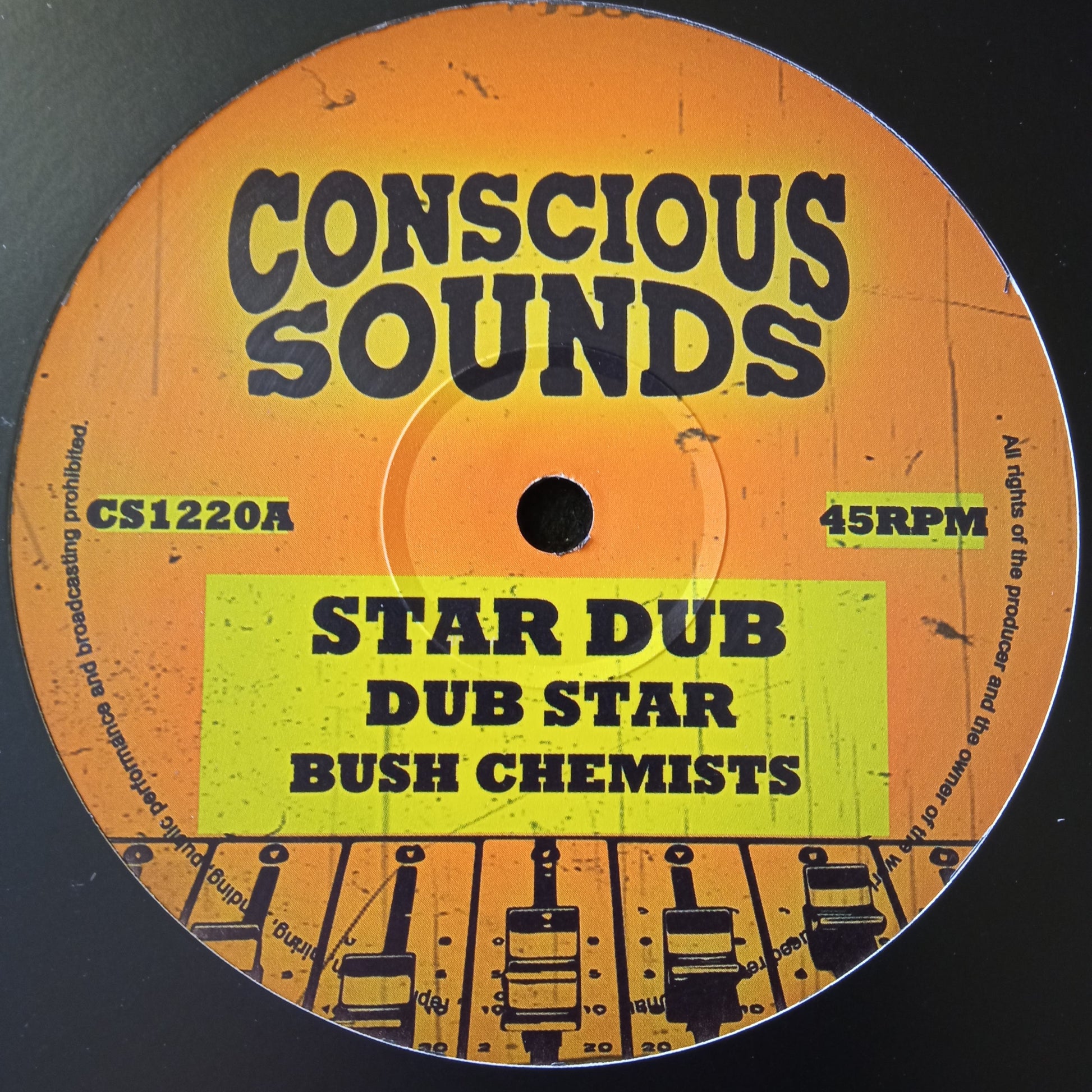 Bush Chemists - Star Dub / Rapha Pico - Change Must Come
