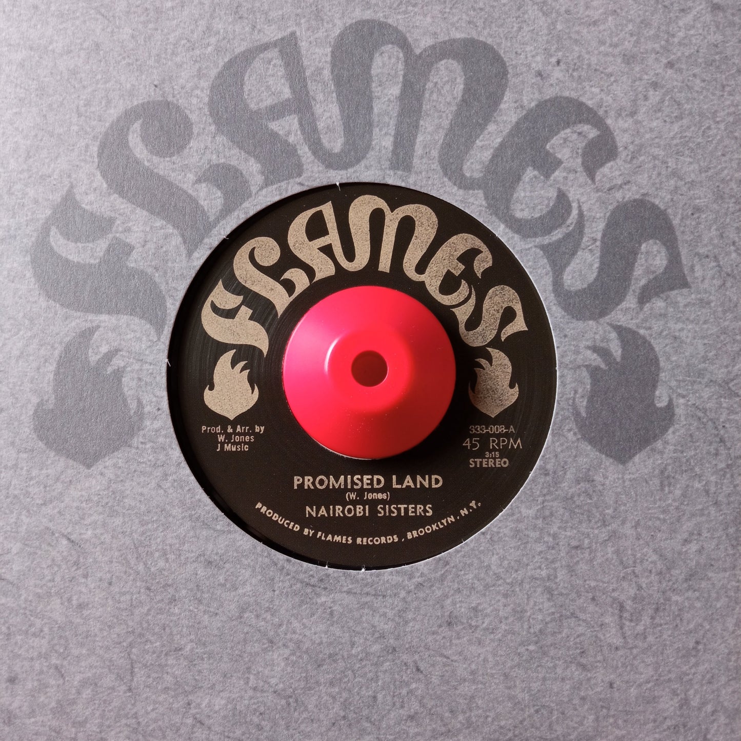 Nairobi Sisters – Promised Land / 7" Vinyl