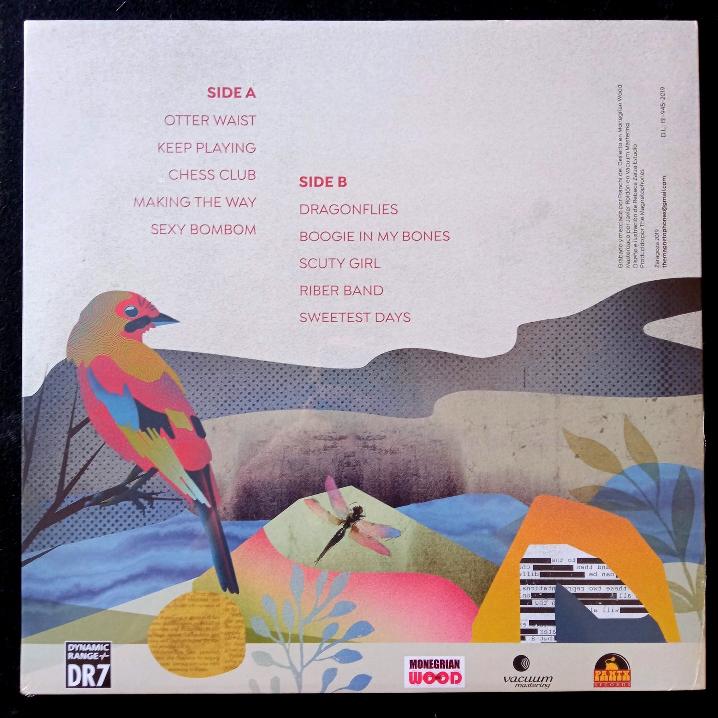 The Magnetophones – Reggaeloo / LP Vinyl