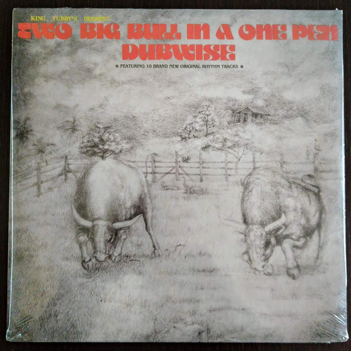 King Tubby’s - Two Big Bull In A One Pen Dubwise