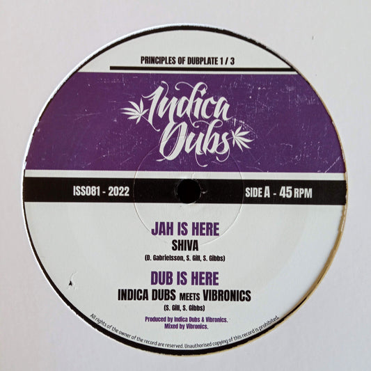 Shiva, Vanja Ohnec, Vibronics, Indica Dubs - Jah Is Here