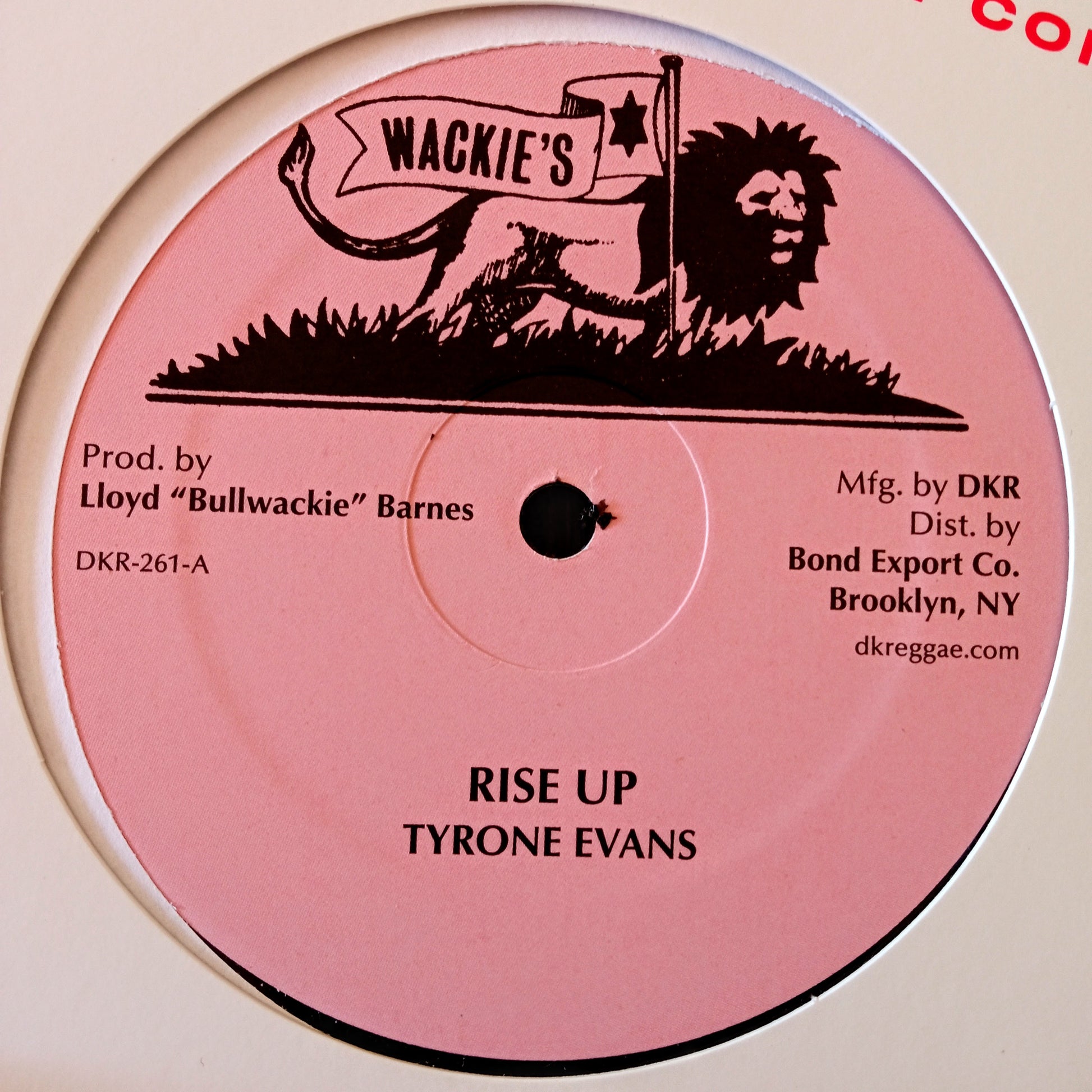 Tyrone Evans – Rise Up