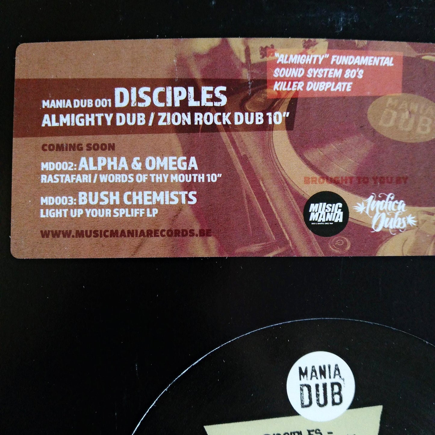 Disciples - Almighty Dub / Zion Rock Dub / 10" Vinilo