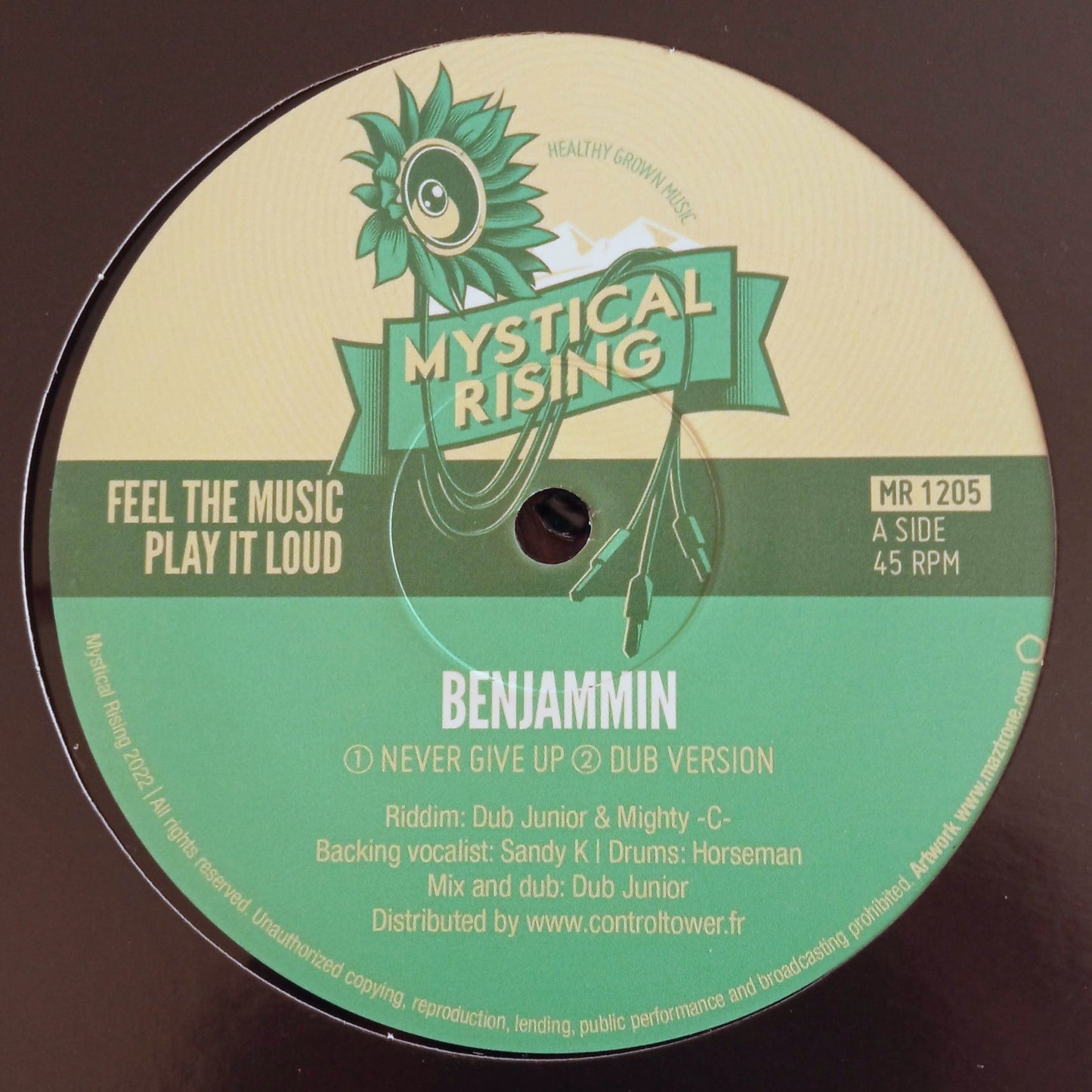 Benjammin - Never Give Up 