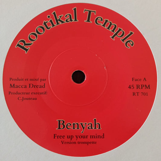 Benyah meets Macca Dread - Free Up Your Mind 