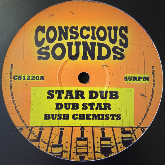 Bush Chemists - Star Dub / Rapha Pico - Change Must Come 