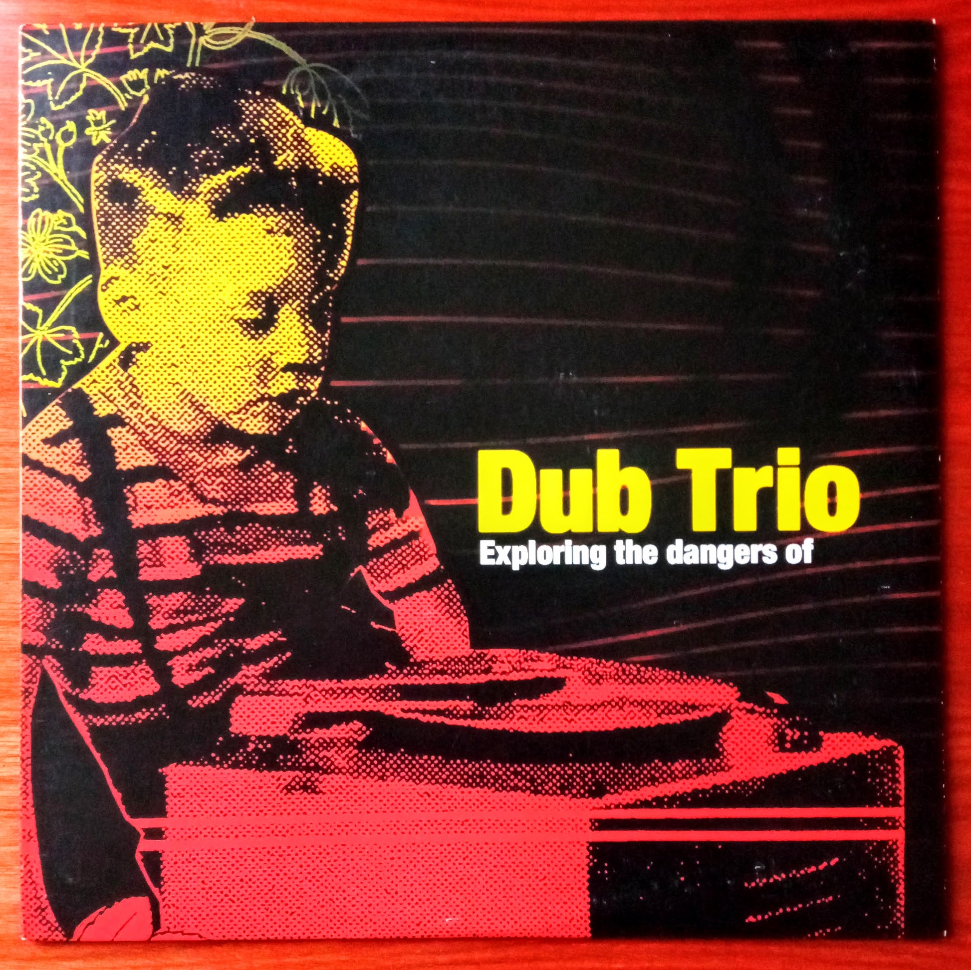 Dub Trio – Exploring The Dangers Of 