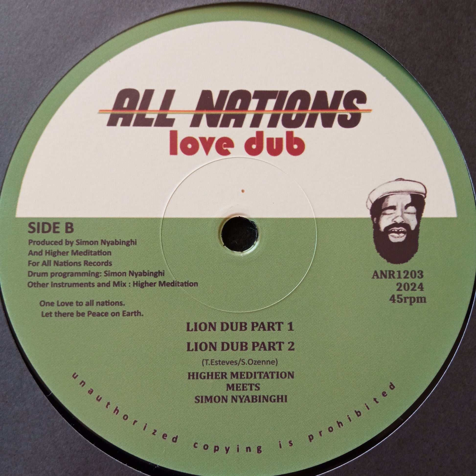 Higher Meditation + Simon Nyabinghi - Conquering Dub b