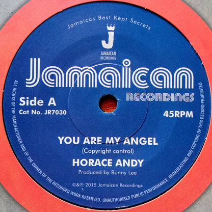 Horace Andy – You Are My Angel 