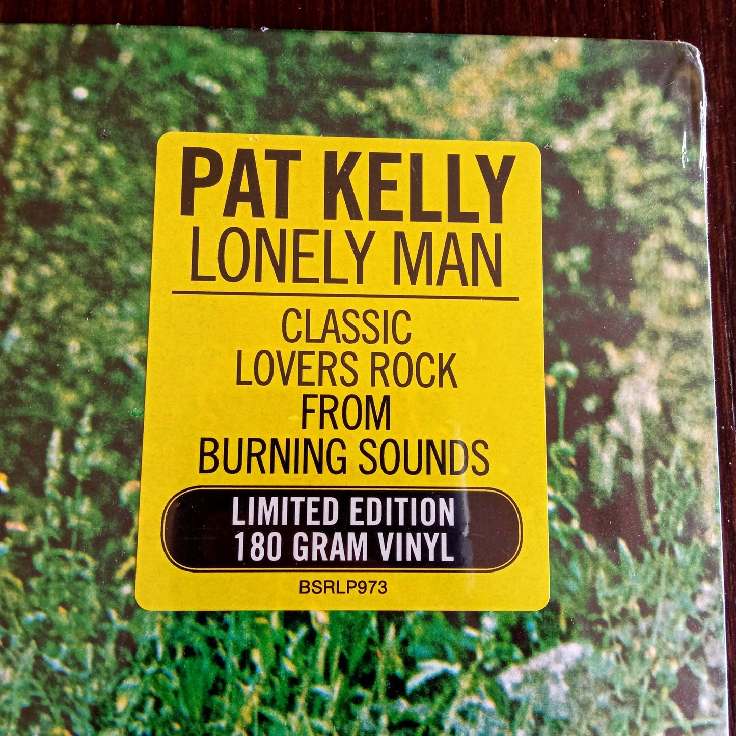 Pat Kelly – Lonely Man / LP Vinilo