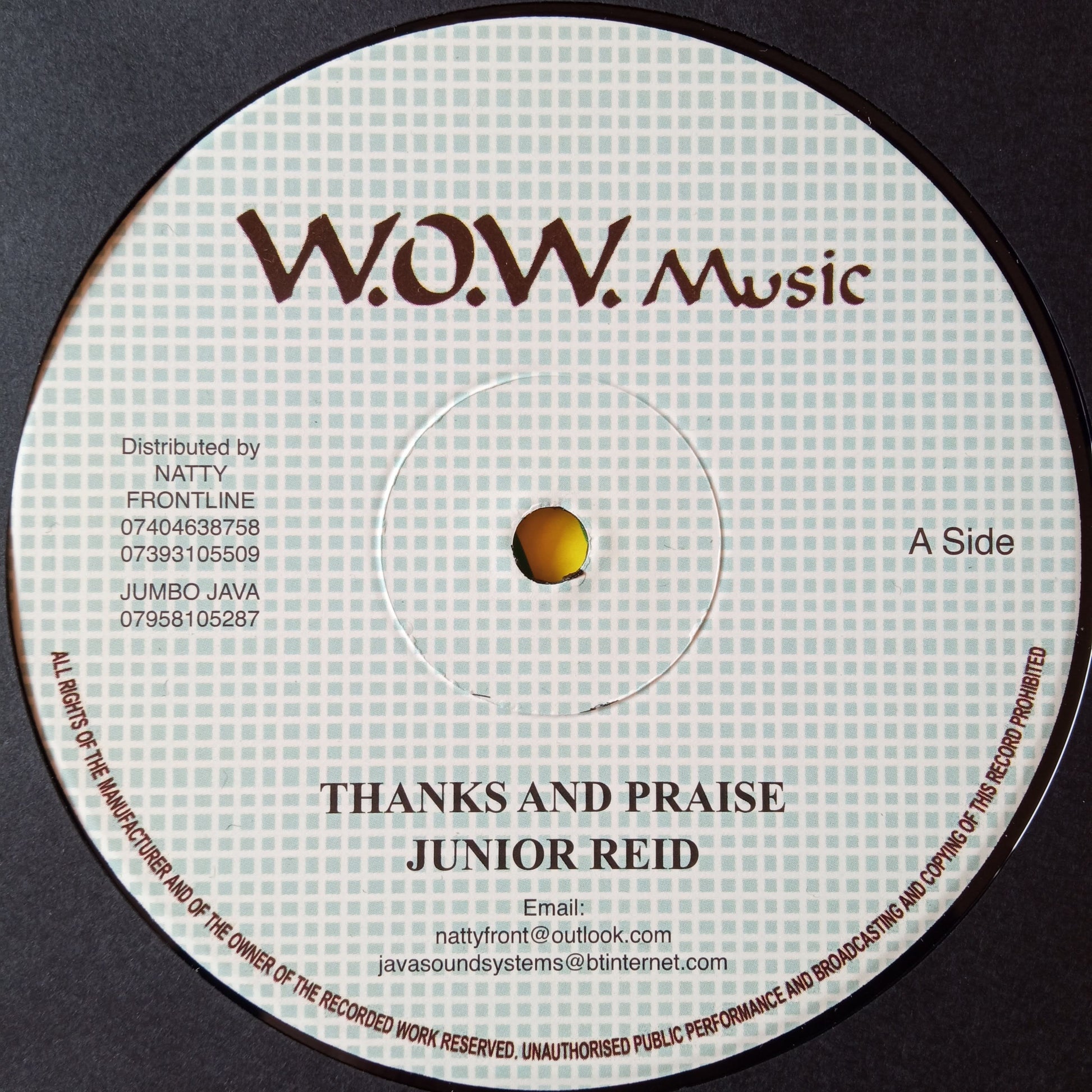 Junior Reid – Thanks And Praise 