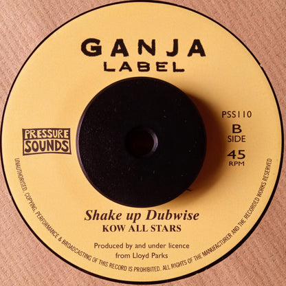 Lloyd Parks – Shake Up Yu Dread b