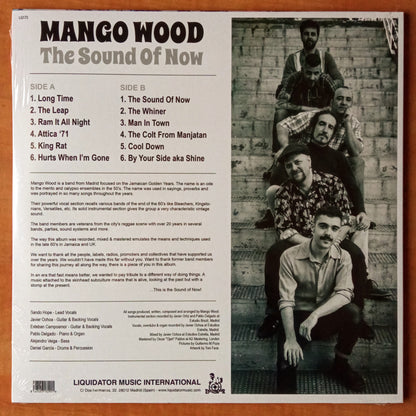 Mango Wood – The Sound Of Now b