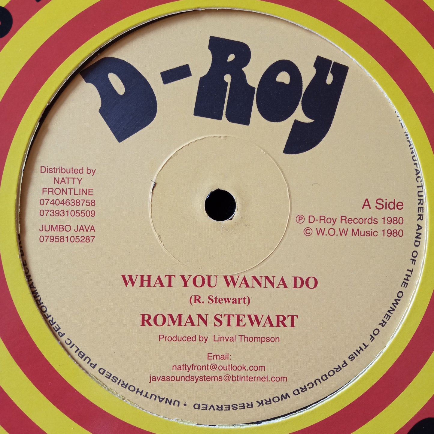 Roman Stewart / Revolutionaries – What You Wanna Do 