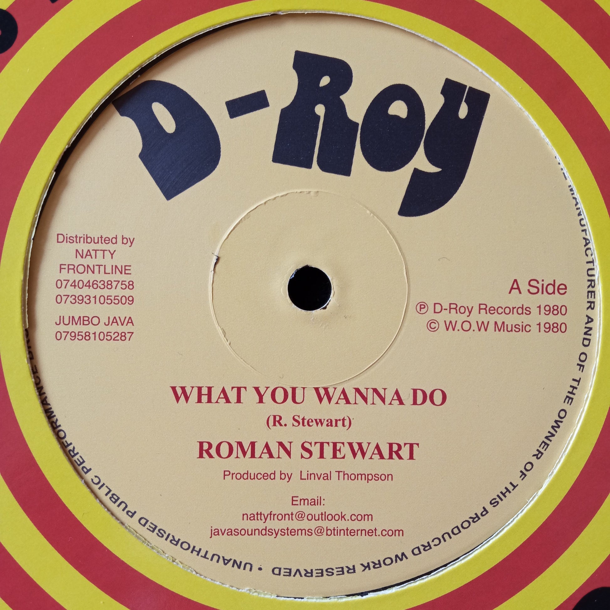 Roman Stewart / Revolutionaries – What You Wanna Do 