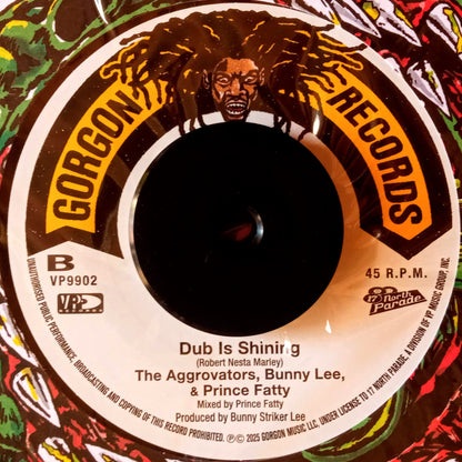 Ronnie Davis – Sun Is Shining b