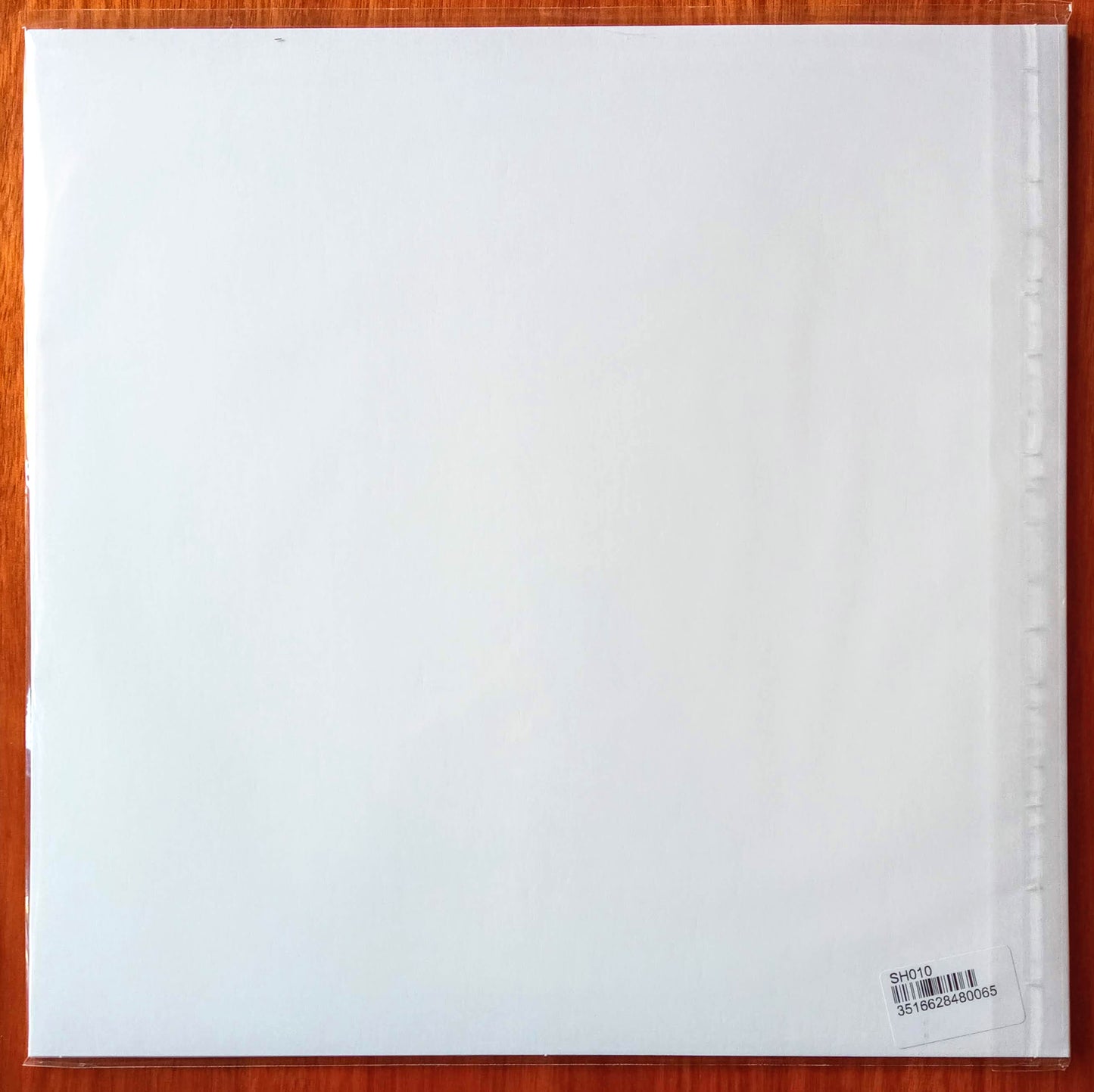 Stand High Patrol – The Ghost / A Seed A Day b