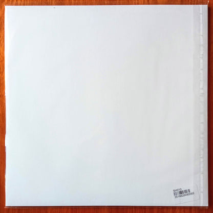 Stand High Patrol – The Ghost / A Seed A Day b