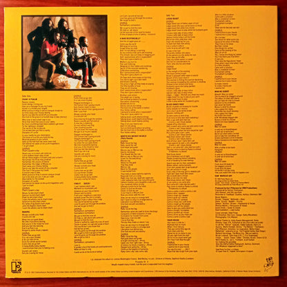 Steel Pulse – True Democracy b