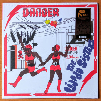 The Lijadu Sisters - Danger 