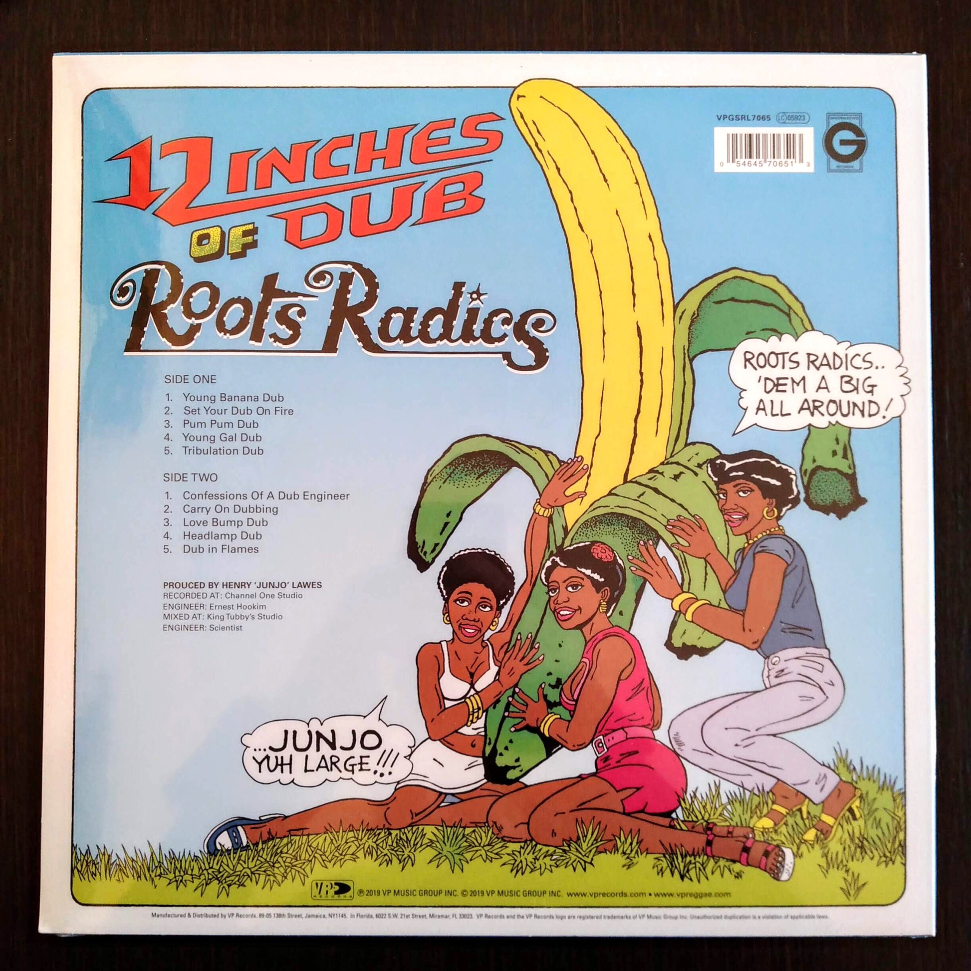 The Roots Radics - 12 Inches Of Dub b