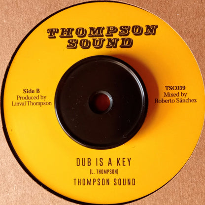 The Viceroys – Love Is A Key b