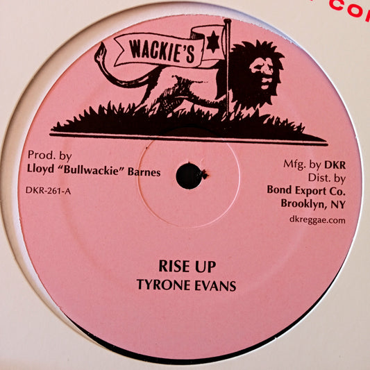 Tyrone Evans – Rise Up