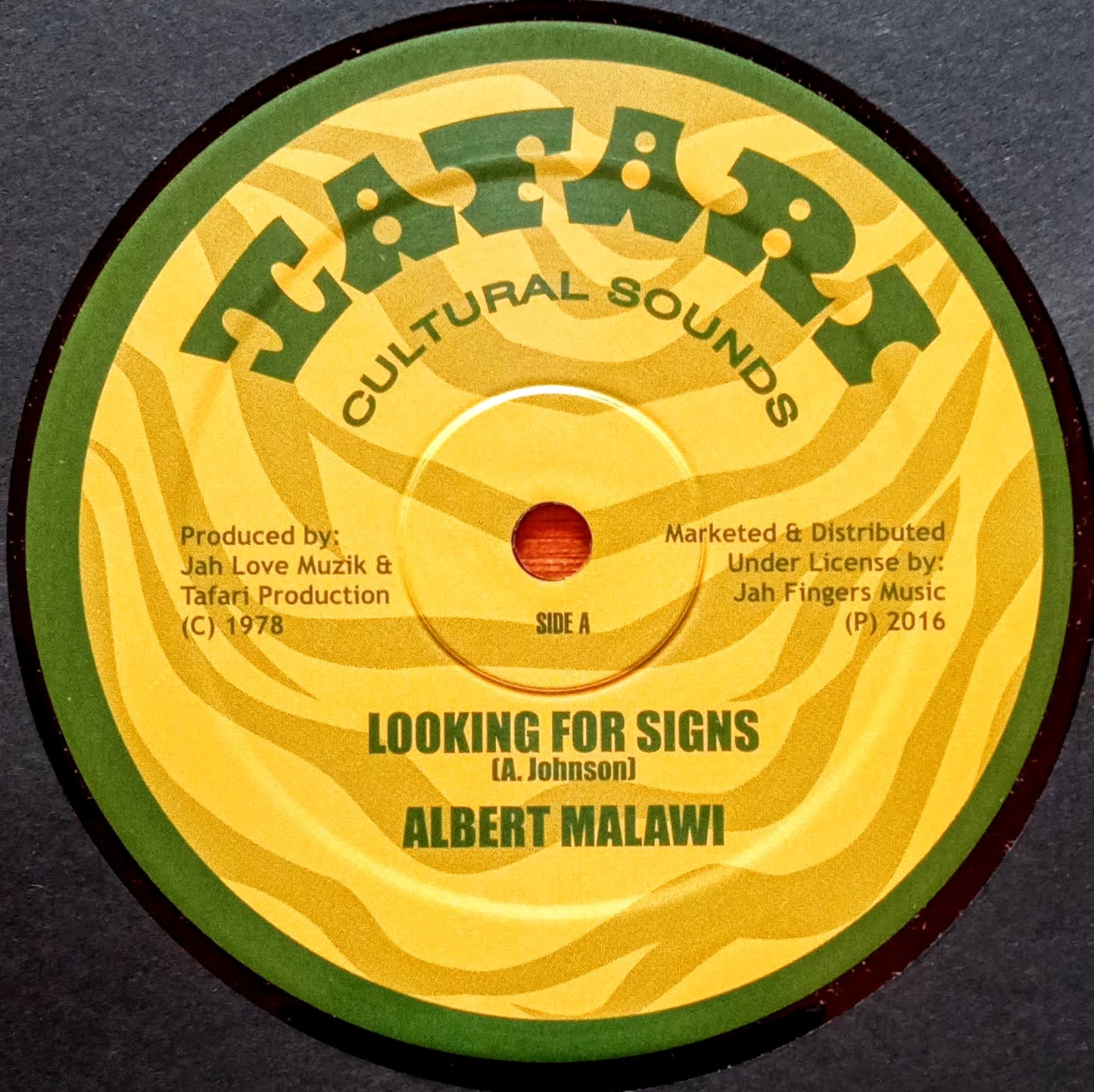 albert-malawi-brigadier-jerry-looking-for-signs