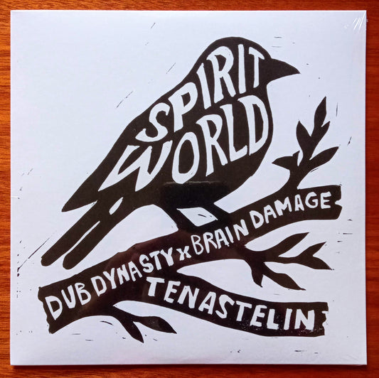 brain-damage-dub-dynasty-spirit-world-vinilo-vinyl