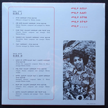 ethiopian-modern-instrumentals-hits b