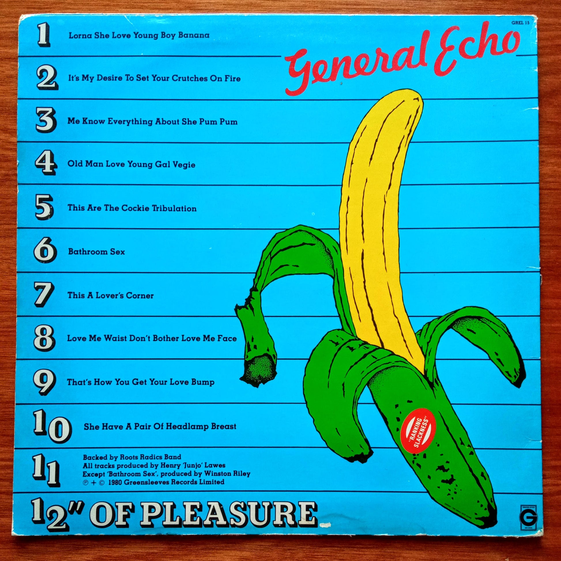 general-echo-12-inch-of-pleasure b