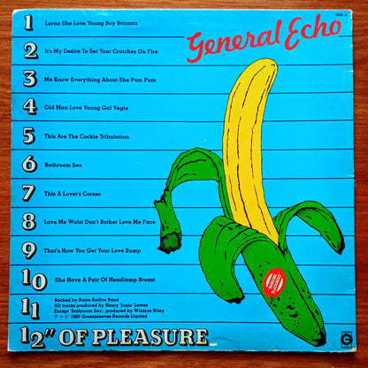 general-echo-12-inch-of-pleasure b