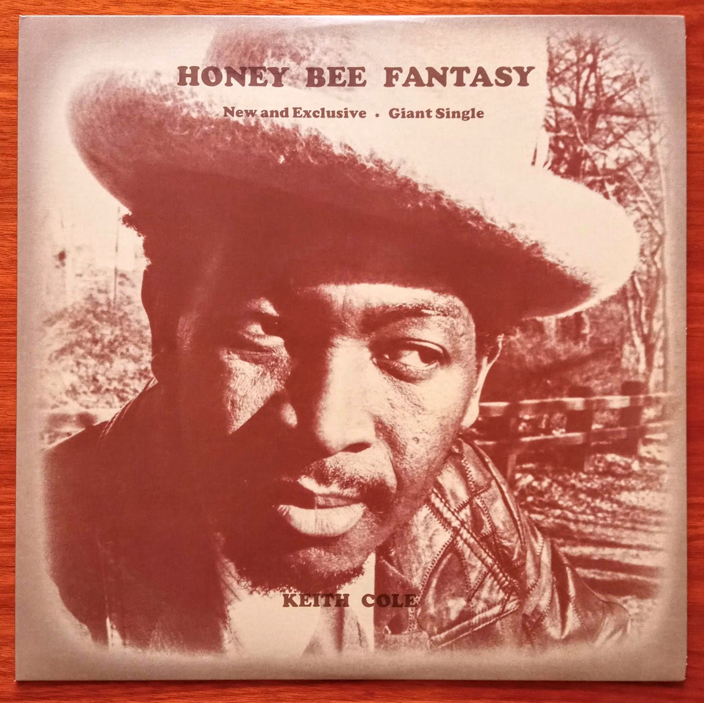 keith-cole-ann-marie-honey-bee-fantasy-together-again