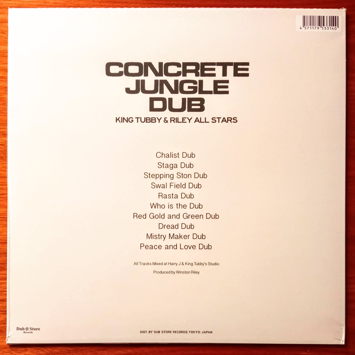 king-tubby-riley-all-stars-concrete-jungle-dub b