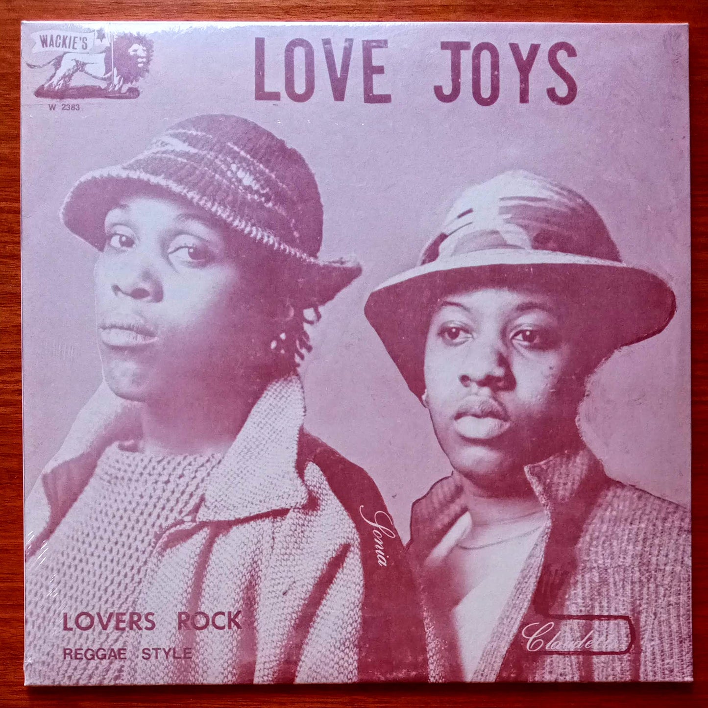 love-joys-lovers-rock-reggae-style