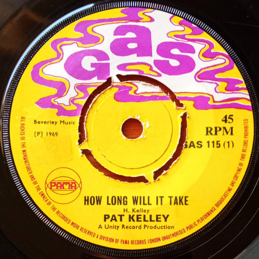 pat-kelley-how-long-will-it-take-try-to-remember