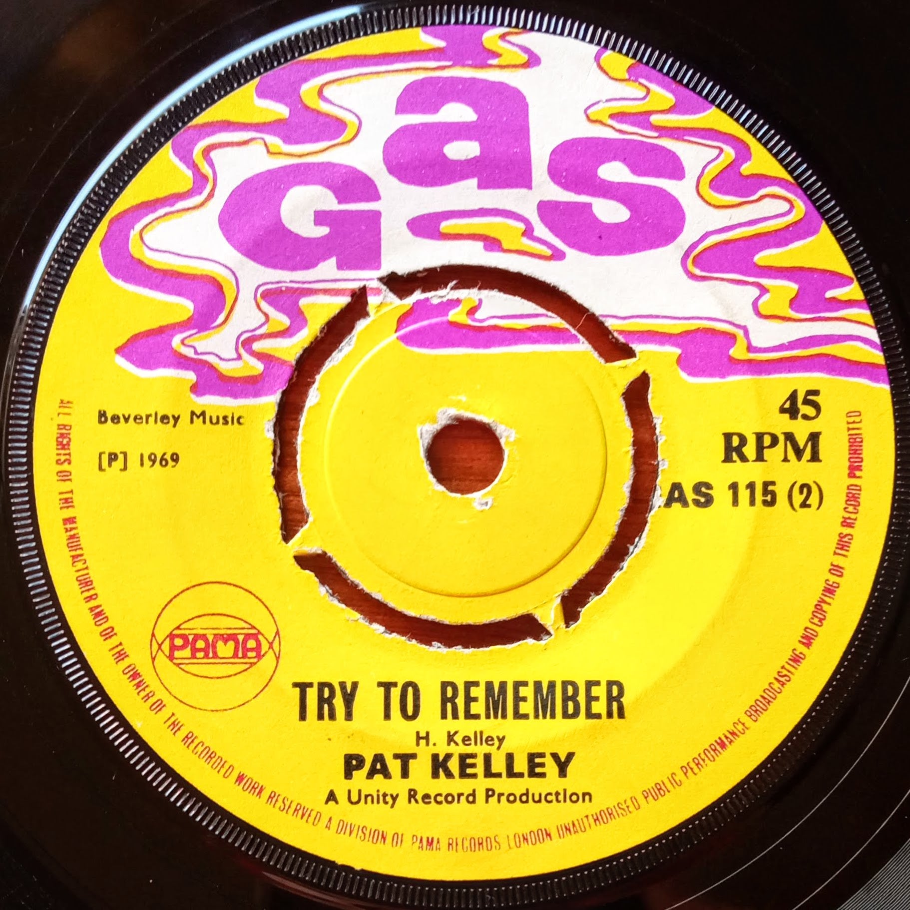 pat-kelley-how-long-will-it-take-try-to-rememberb