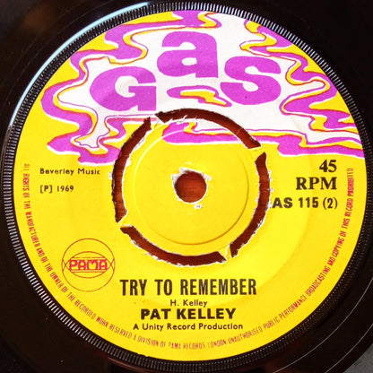 pat-kelley-how-long-will-it-take-try-to-rememberb