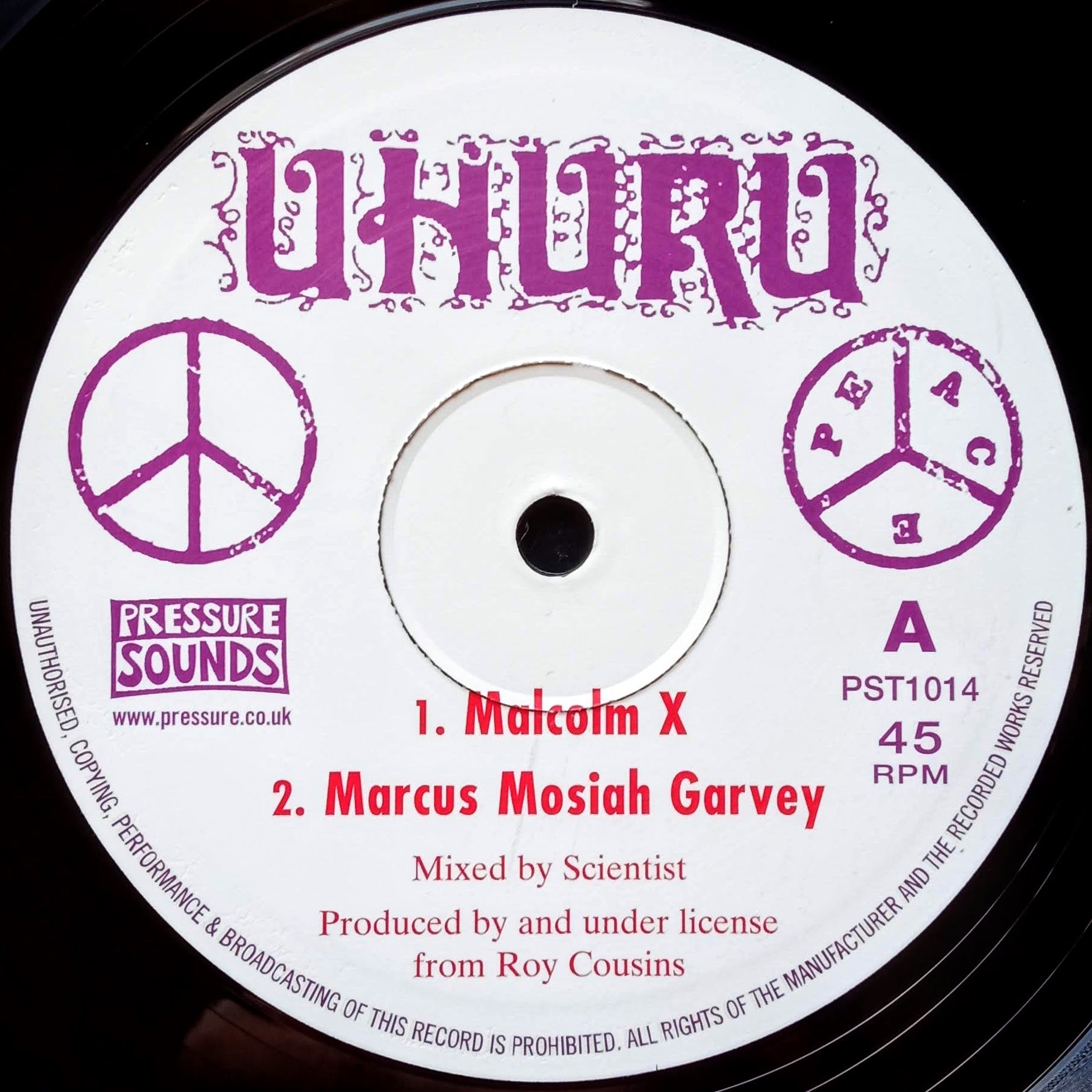 scientist-malcolm-x-marcus-mosiah-garvey