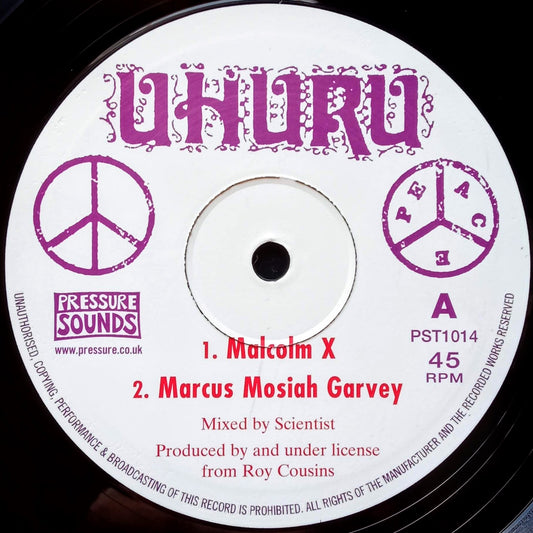 scientist-malcolm-x-marcus-mosiah-garvey