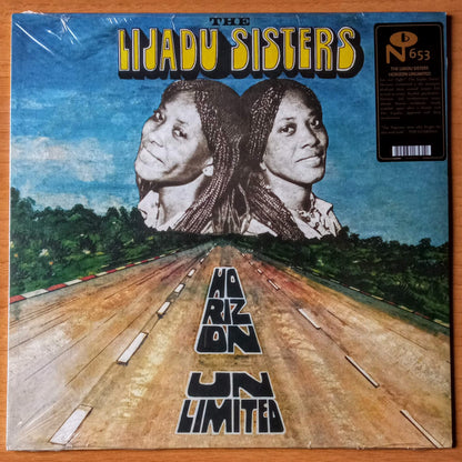 the-lijadu-sisters-horizon-unlimited-