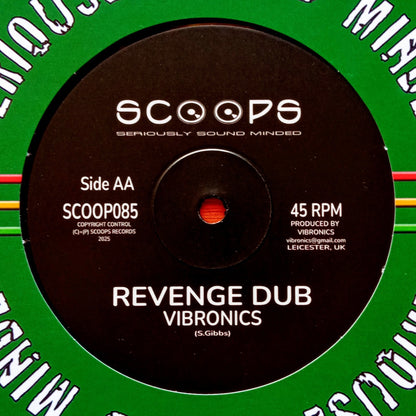 vibronics-nia-songbird-travelling b
